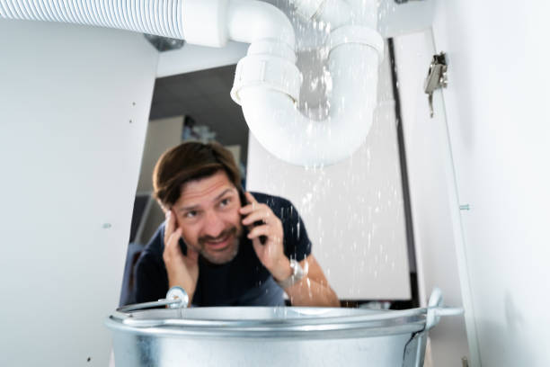 Best Plumbing Inspection Services  in Plant City, FL
